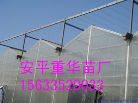 創新驅動下的新型膜材料制造 技術突破與應用前景